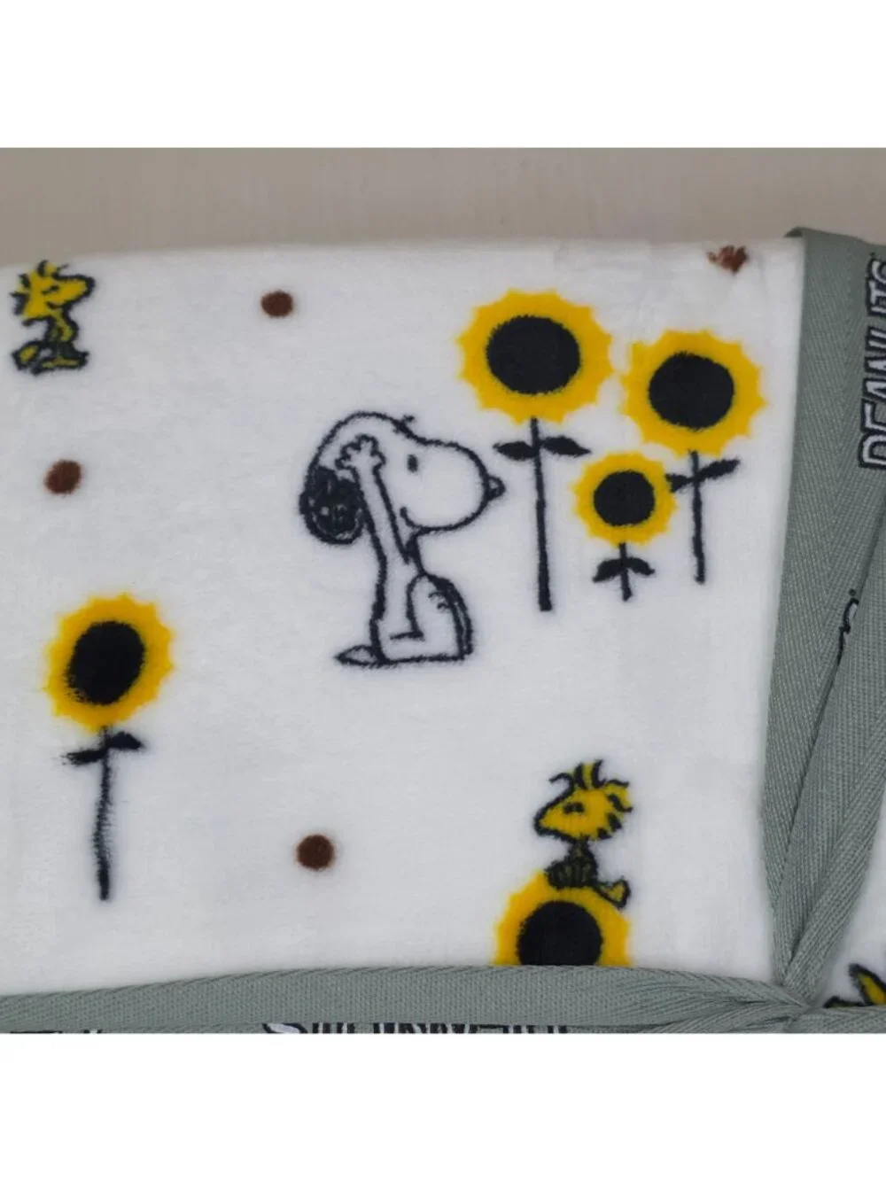 Peanuts Snoopy VelvetLoft Blanket 90